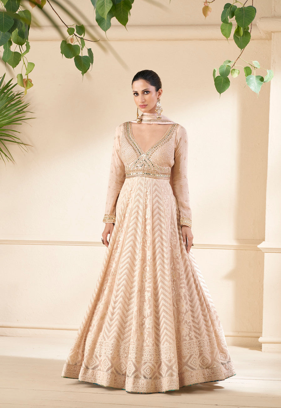 Indian Party Wear Embroidered Anarkali