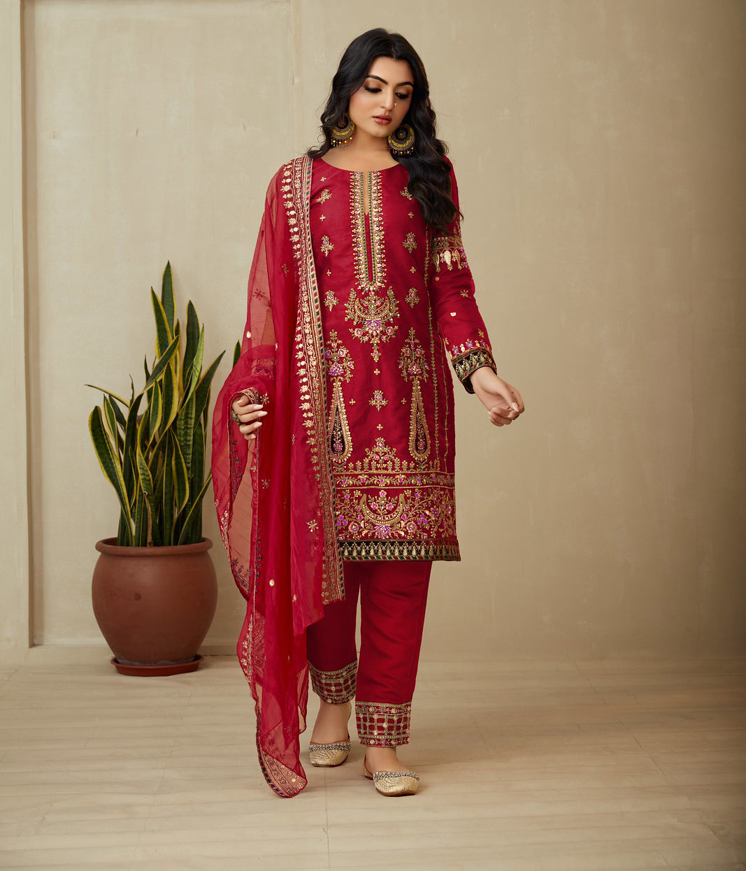 Elegant Red Organza Indian Salwar Kameez