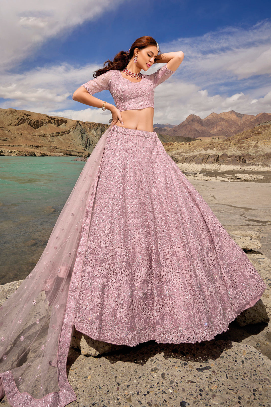 Elegant Light Pink Lehenga Choli